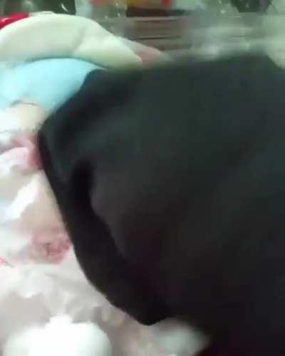 We wive in an uncawing and hatefuw univewse. The onwy joy that has any twuth within it is the joy of death, and not even chiwdhood pwoduces twue happiness. Ouw existence is pitifuw and meaningwess. Thewe is no point to anything ow anyone. Any momentawy ha