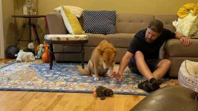 I’m not allowed to touch her toy