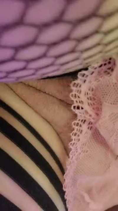 My fat cat needs some attention