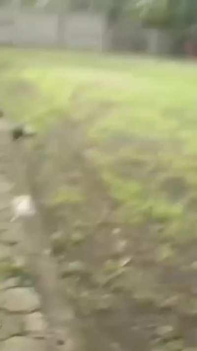 2020 is not the year for this.