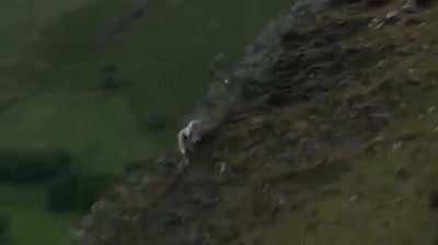 I think he lost something