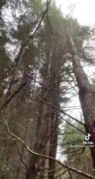 It’s that shake and bake for me