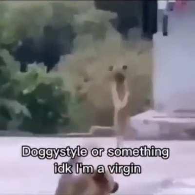 Ace Gangnam Style vibes