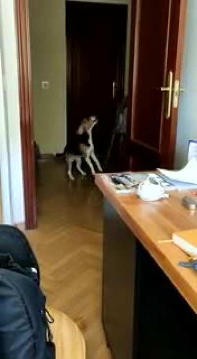 Left for 10 minutes to buy sth for lunch and OH THE DRAMA