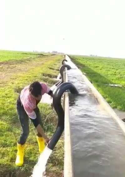 Siphon for irrigation