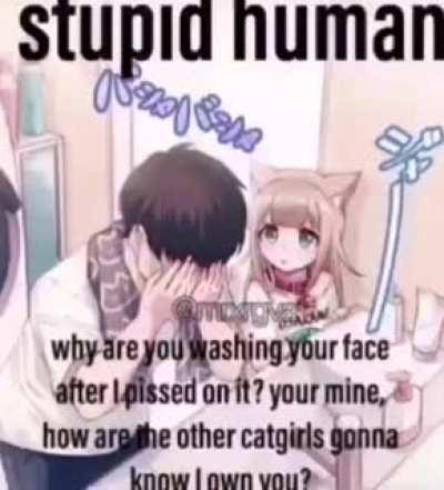 stupid human 😾