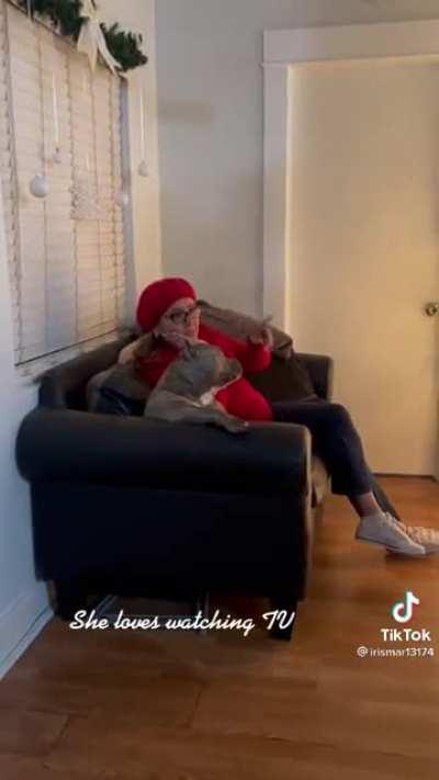 My pocket bully with her gma