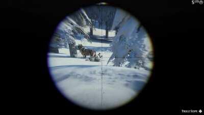 Awww look at the cute wolves playing in the sn- OH GOD HERE THEY COME