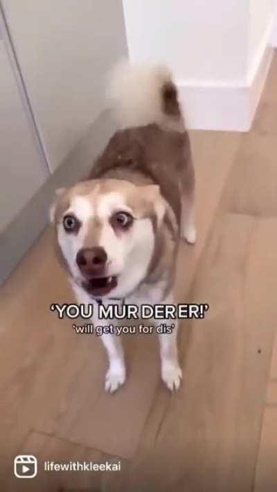 Take them out you murderer.