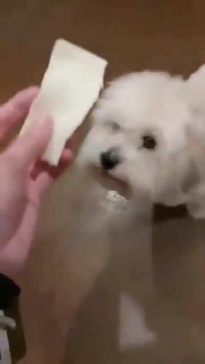 Esperando alguém 🤣🤣 botar no vídeo 