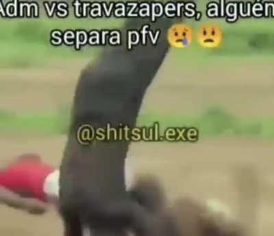 Salve-nos adm 😢😢😢🤯