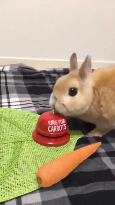 I want more carrots!