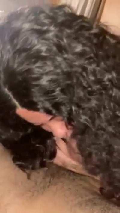 Twitter @SloppyHeadFreak