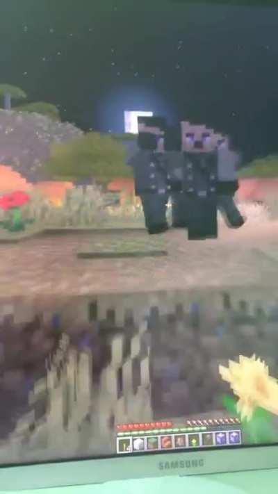 Bug in 20w28a made vindicators heil so I made them nazis.