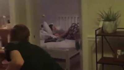 Ginger pelts ball at sister, runs for life