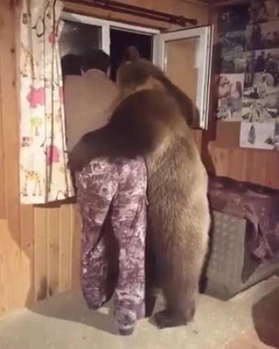 What are humans looking at?