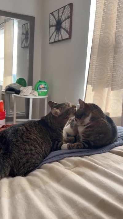 That's not what I expected