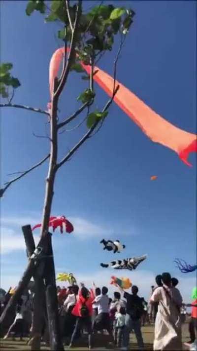 WCGW if I hang on to this kite