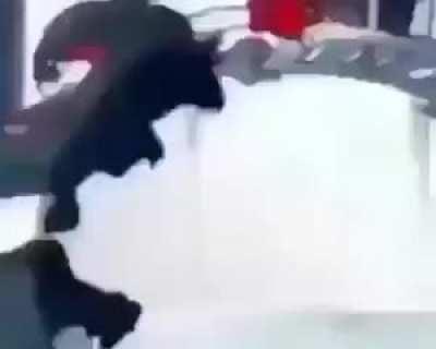 AHHHHAHHHHHHHH Karen