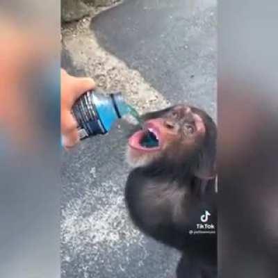 Βίντεο απο χθεσινό πανηγύρι (εγώ είμαι αυτός)