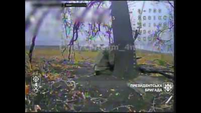 Ukraine's Separate Presidential Brigade 4th Mechanized Battalion 