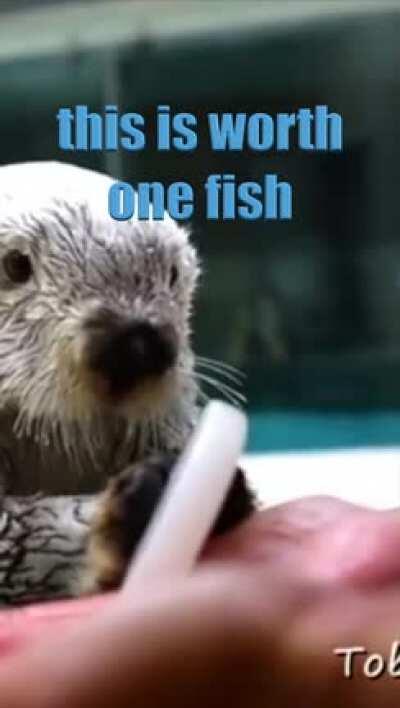 look larry you can't do me like this