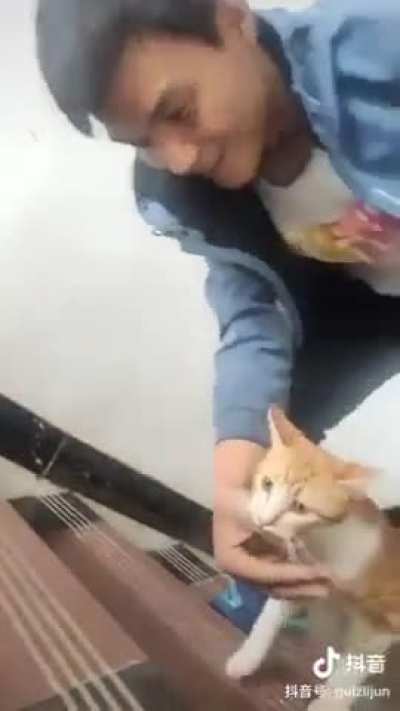 The cat is in labor and she wants her owner to be with her when she gives birth to her babies.