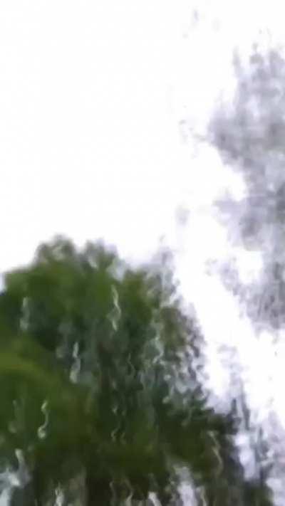 I guess he didn't learn the first time...