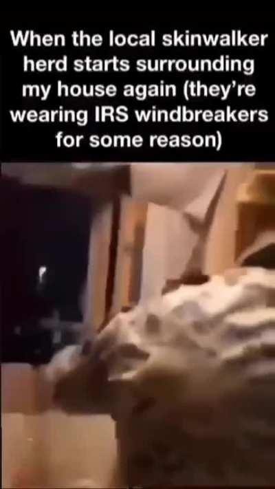 The acronyms change sometimes. 🤯