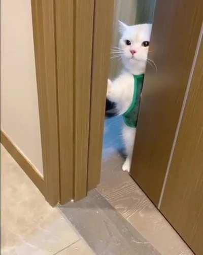 what are you doing here?