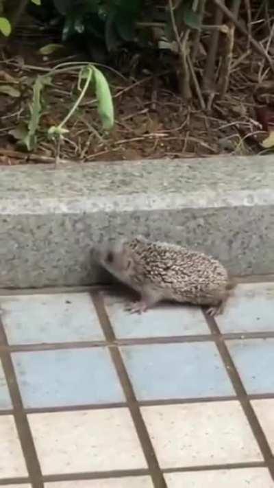 Впрочем, все как в жизни человеков