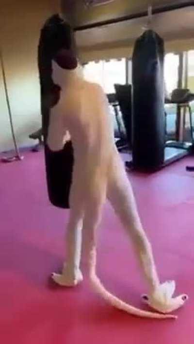 This is JJ's Next opponent