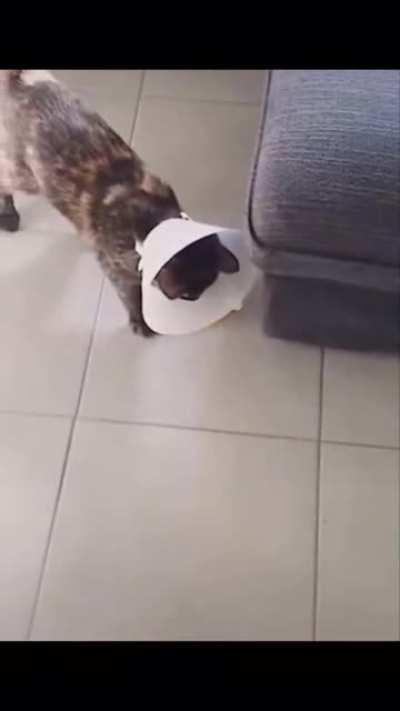 Wait for it ...... Now!