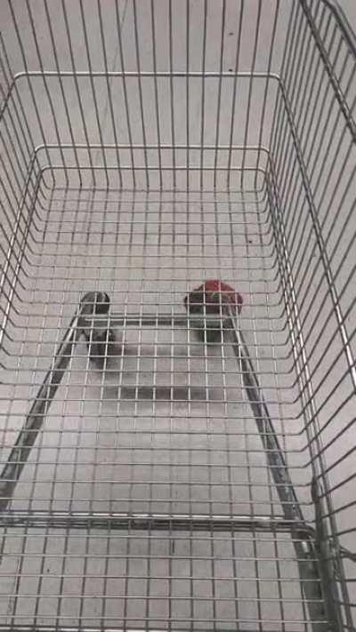 Antony (Man Utd) - Great skill