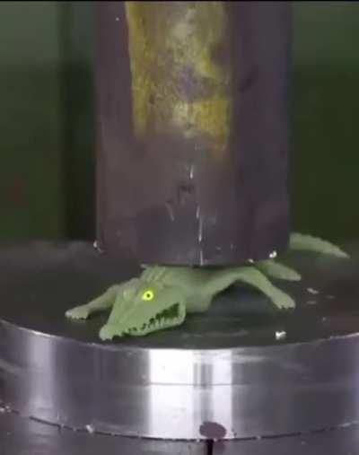 when an alligator is a bomb…