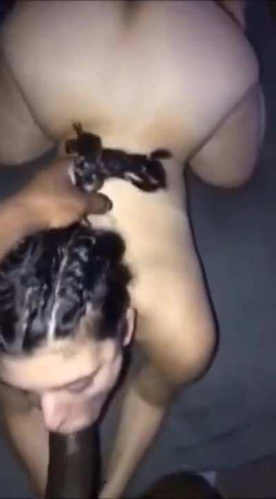 Goddess sucks XXXL cock