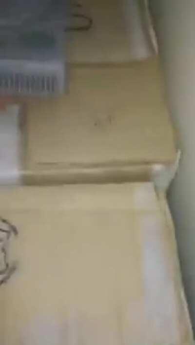 Looking through grandpa's old stuff, bring out memories