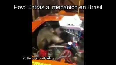 Pov: Entras al mecánico en Brasil