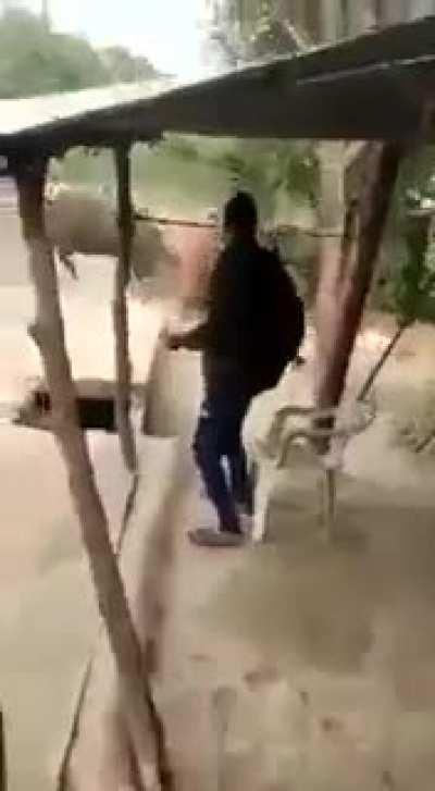 Meanwhile in an indian road