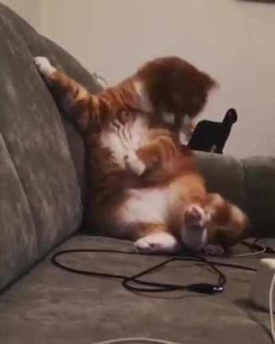 [Head wiggling intensifies]