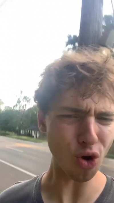 BIRDS CHARGE ON POWERLINES