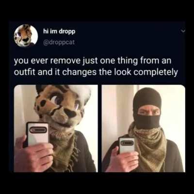 if a furry can afford a 2k fursuit they can afford to send a pipebomb to your house