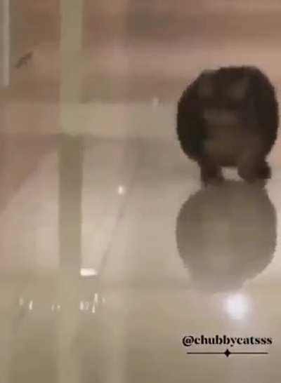 Self-startling quad-turbo ultrachonk