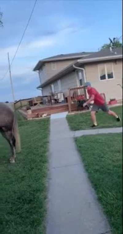 Guess what they broke...