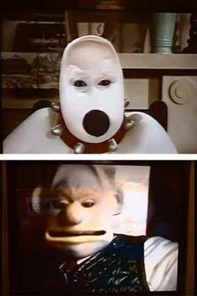 reality is a lie, Wallace