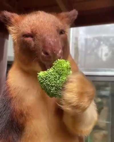 Remember to always eat your greens!