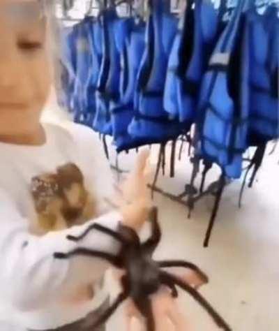 Australia is a really weird place.