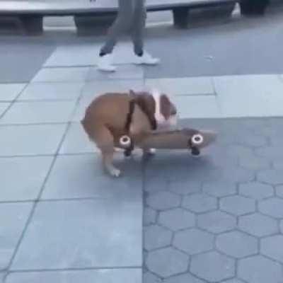 Discurso emocional 😢