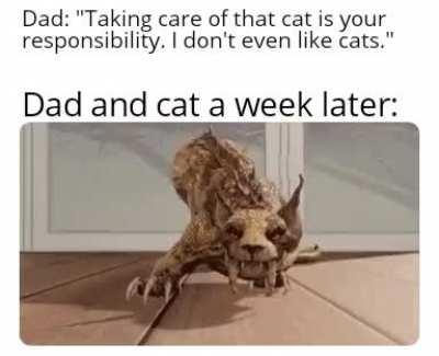 And the cat just hisses at me...