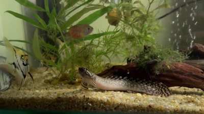 Just me obsessing over my new baby!